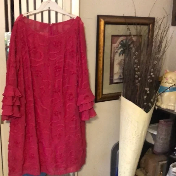 Beautiful Dress Cerise Color with Ornamental Accents and Ruffled Sleeves. - Picture 2 of 9